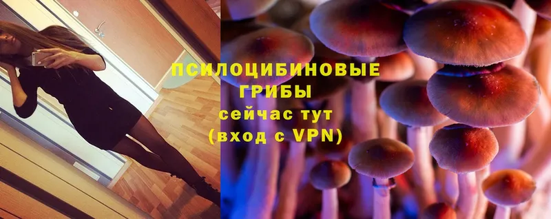 Галлюциногенные грибы MAGIC MUSHROOMS  Челябинск 